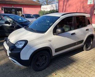 Fiat Panda Gebrauchtwagen