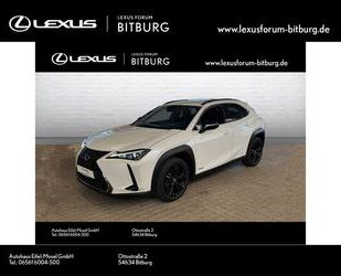 Lexus UX Gebrauchtwagen