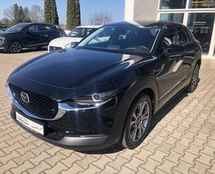 Mazda CX-30 Gebrauchtwagen
