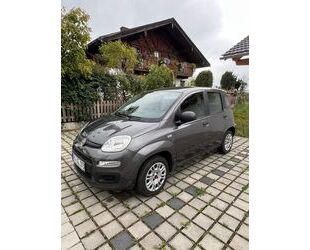 Fiat New Panda Gebrauchtwagen