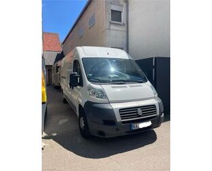 Fiat Ducato Gebrauchtwagen
