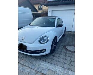 VW Beetle Gebrauchtwagen