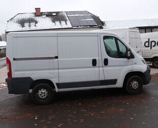 Fiat Ducato Gebrauchtwagen