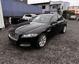 Jaguar XF Gebrauchtwagen