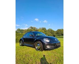 VW Beetle Gebrauchtwagen