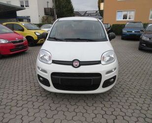 Fiat Panda Gebrauchtwagen