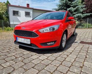 Ford Focus Gebrauchtwagen