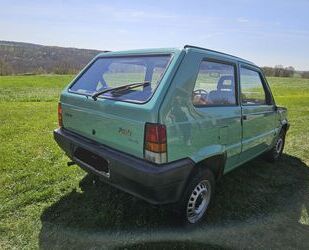 Fiat Panda Gebrauchtwagen