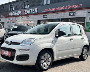 Fiat Panda Gebrauchtwagen