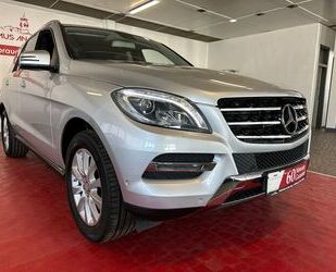 Mercedes-Benz ML 250 Gebrauchtwagen