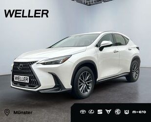 Lexus NX 350h Gebrauchtwagen