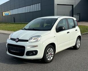 Fiat Panda Gebrauchtwagen