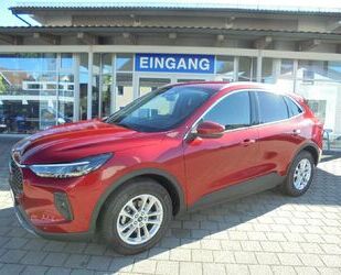 Ford Kuga Gebrauchtwagen