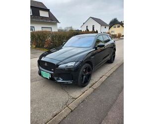 Jaguar F-Pace Gebrauchtwagen