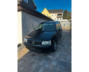 VW Polo Gebrauchtwagen
