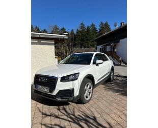 Audi Q2 Gebrauchtwagen