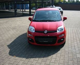 Fiat Panda Gebrauchtwagen