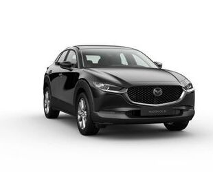 Mazda CX-30 Gebrauchtwagen