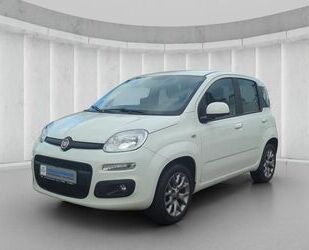 Fiat Panda Gebrauchtwagen