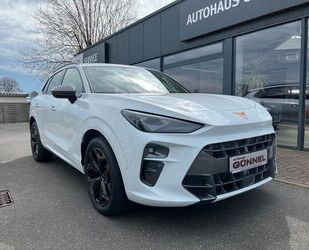 Cupra Terramar Gebrauchtwagen
