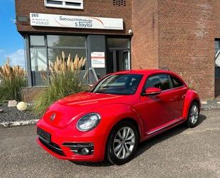 VW Beetle Gebrauchtwagen