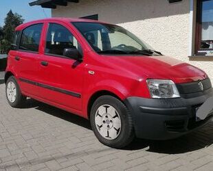 Fiat Panda Gebrauchtwagen