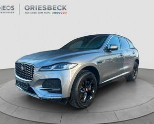Jaguar F-Pace Gebrauchtwagen