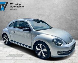 VW Beetle Gebrauchtwagen