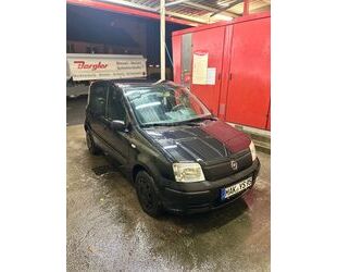 Fiat Panda Gebrauchtwagen