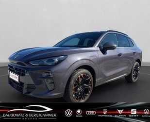 Cupra Terramar Gebrauchtwagen