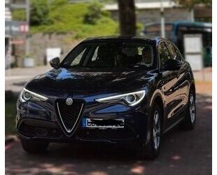 Alfa Romeo Stelvio Gebrauchtwagen