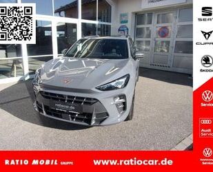 Cupra Terramar Gebrauchtwagen