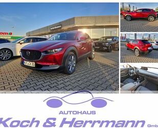 Mazda CX-30 Gebrauchtwagen