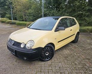 VW Polo Gebrauchtwagen