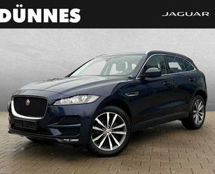 Jaguar F-Pace Gebrauchtwagen