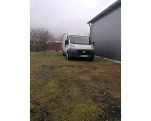 Fiat Ducato Gebrauchtwagen
