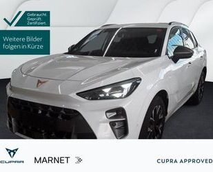 Cupra Terramar Gebrauchtwagen