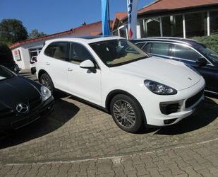 Ford Cayenne 