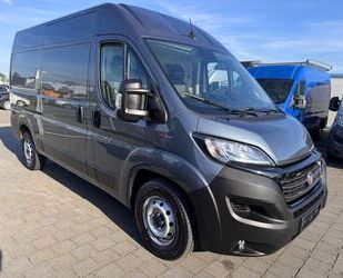 Fiat Ducato Gebrauchtwagen