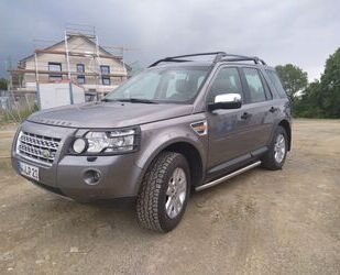 Land Rover Freelander Gebrauchtwagen