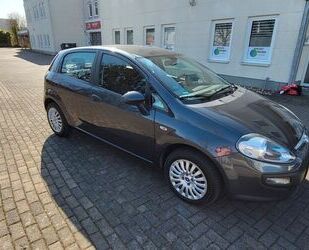 Fiat Punto Gebrauchtwagen