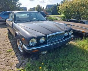 Jaguar XJ6 Gebrauchtwagen