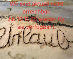 BMW M2 Gebrauchtwagen