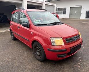 Fiat Panda Gebrauchtwagen