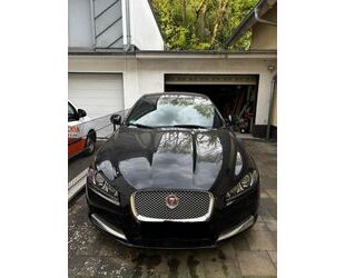 Jaguar XF Gebrauchtwagen