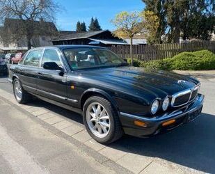 Jaguar XJ8 Gebrauchtwagen