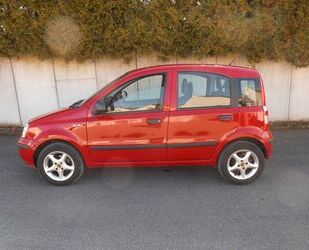 Fiat Panda Gebrauchtwagen