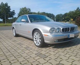 Jaguar XJ8 Gebrauchtwagen