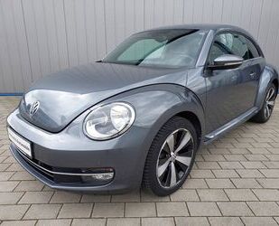 VW Beetle Gebrauchtwagen