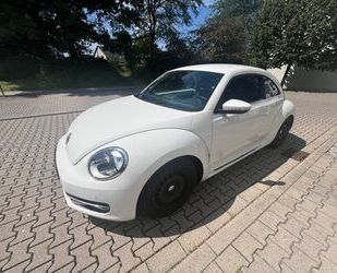 VW Beetle Gebrauchtwagen